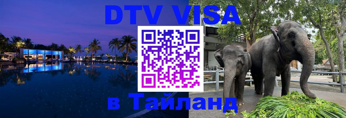 Сколько стоит DTV виза — актуальные цены, оформление даже без документов - 21.11.2025 